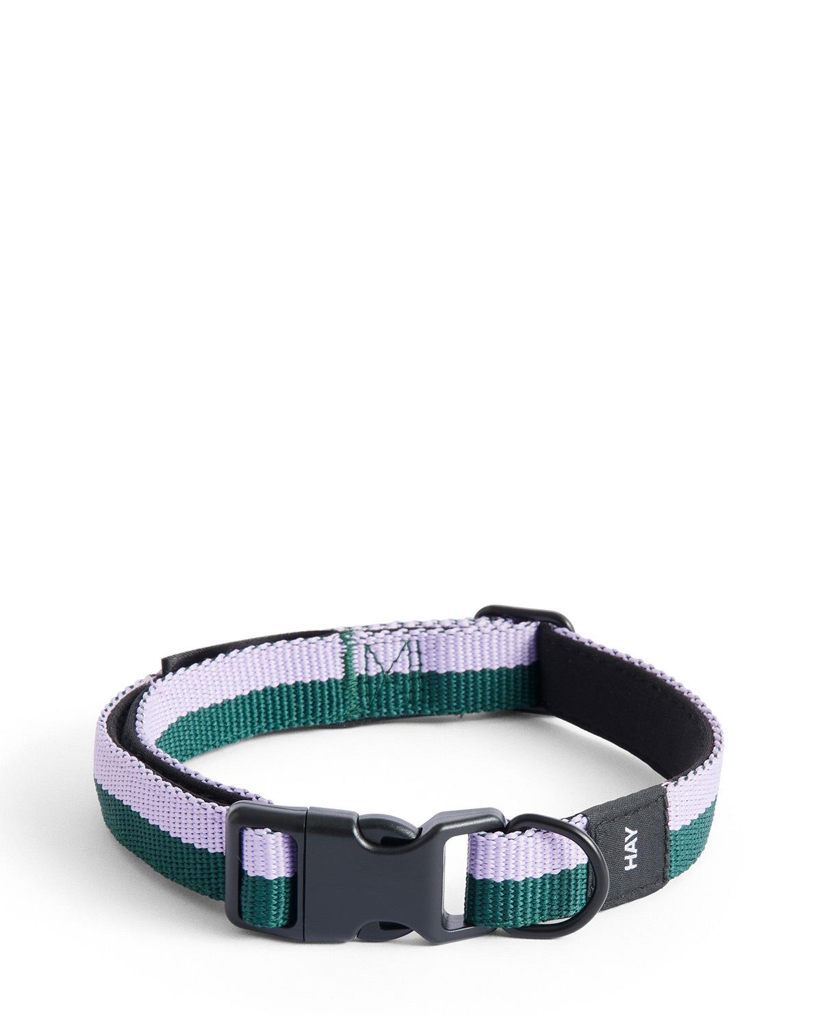 Hundehalsband Collar Flat S/M