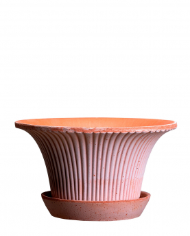 Bergs Potter Blumentopf Daisy Raw Pot inkl. Untersetzer