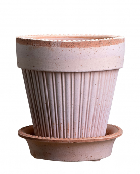 Bergs Potter Blumentopf Simona Raw Pot inkl. Untersetzer