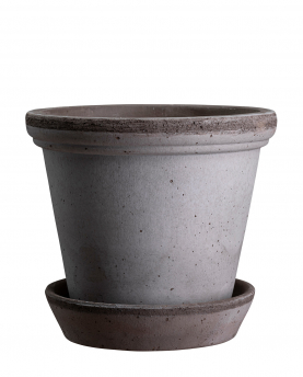 Bergs Potter Blumentopf The Flora Raw Pot inkl. Untersetzer