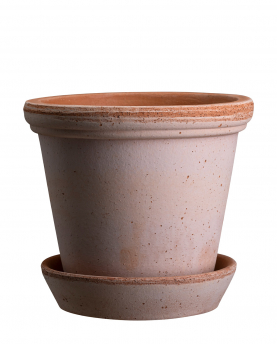 Bergs Potter Blumentopf The Flora Raw Pot inkl. Untersetzer