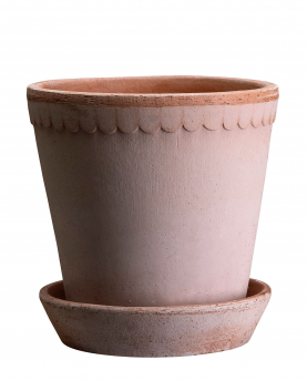 Bergs Potter Blumentopf The Helena Raw Pot inkl. Untersetzer