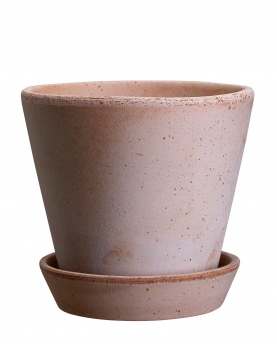 Bergs Potter Blumentopf The Julie Raw Pot inkl. Untersetzer