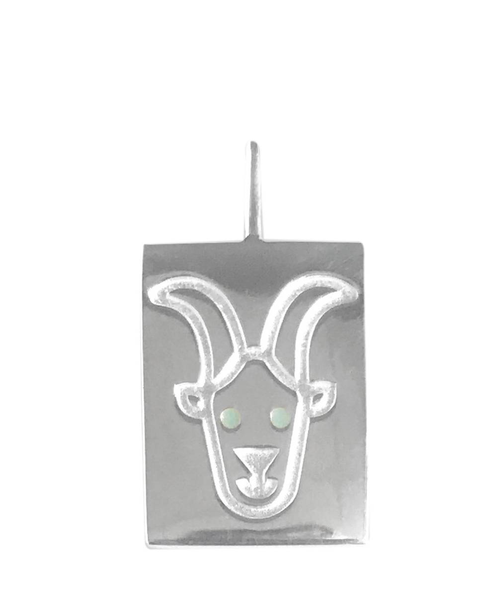 Anhänger Zodiac Capricorn 