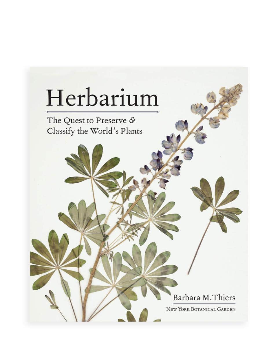 Buch Herbarium – The Quest to Preserve & Classify the World’s Plants 
