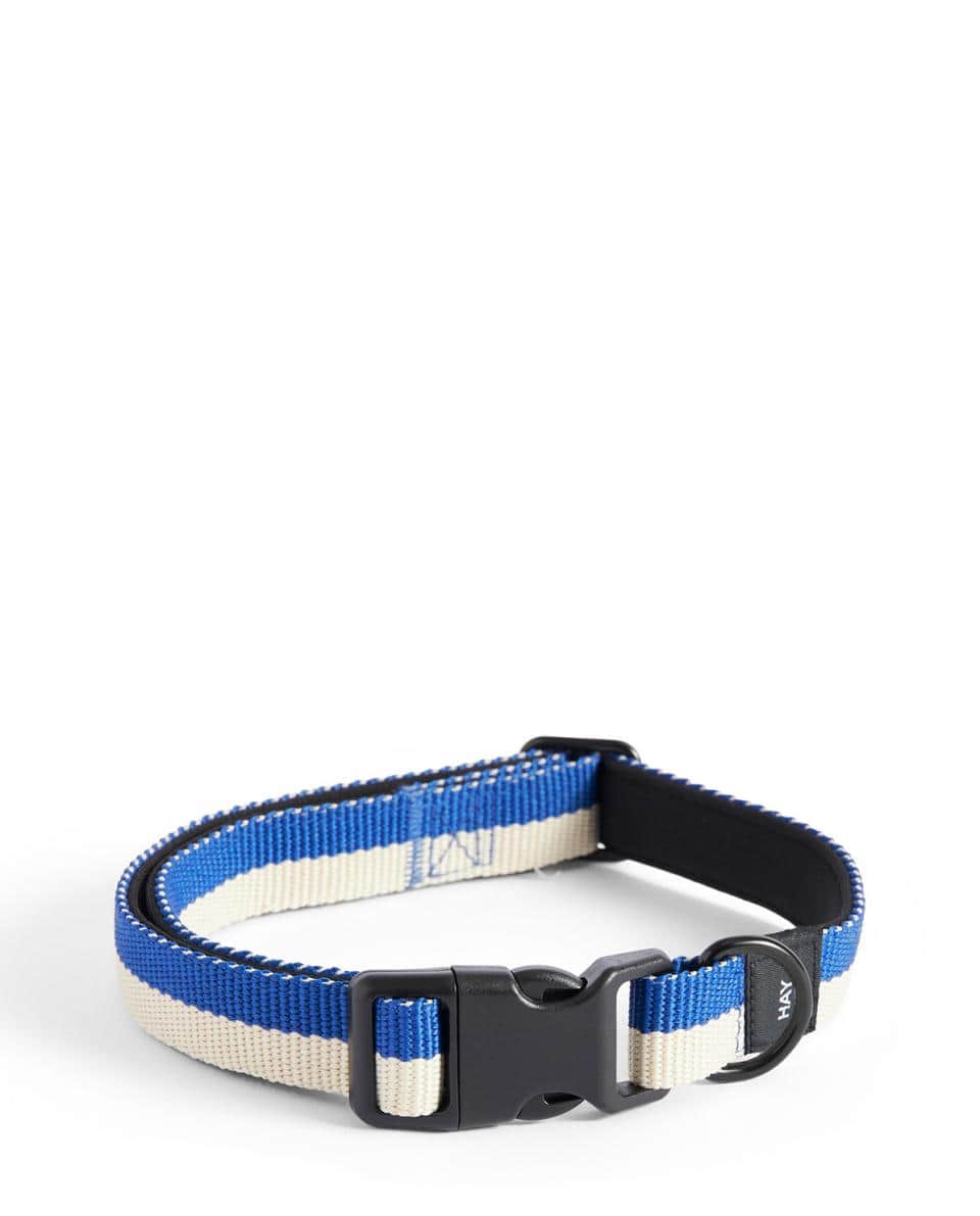 Hundehalsband Collar Flat 