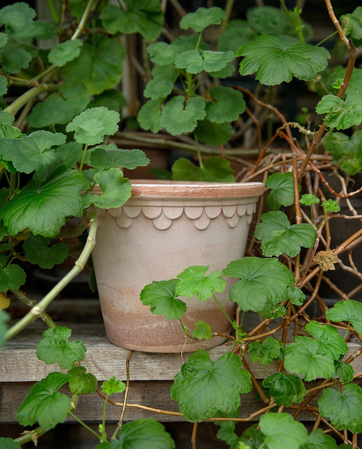 Blumentopf The Københavner Raw Pot inkl. Untersetzer ⌀ 14 cm
