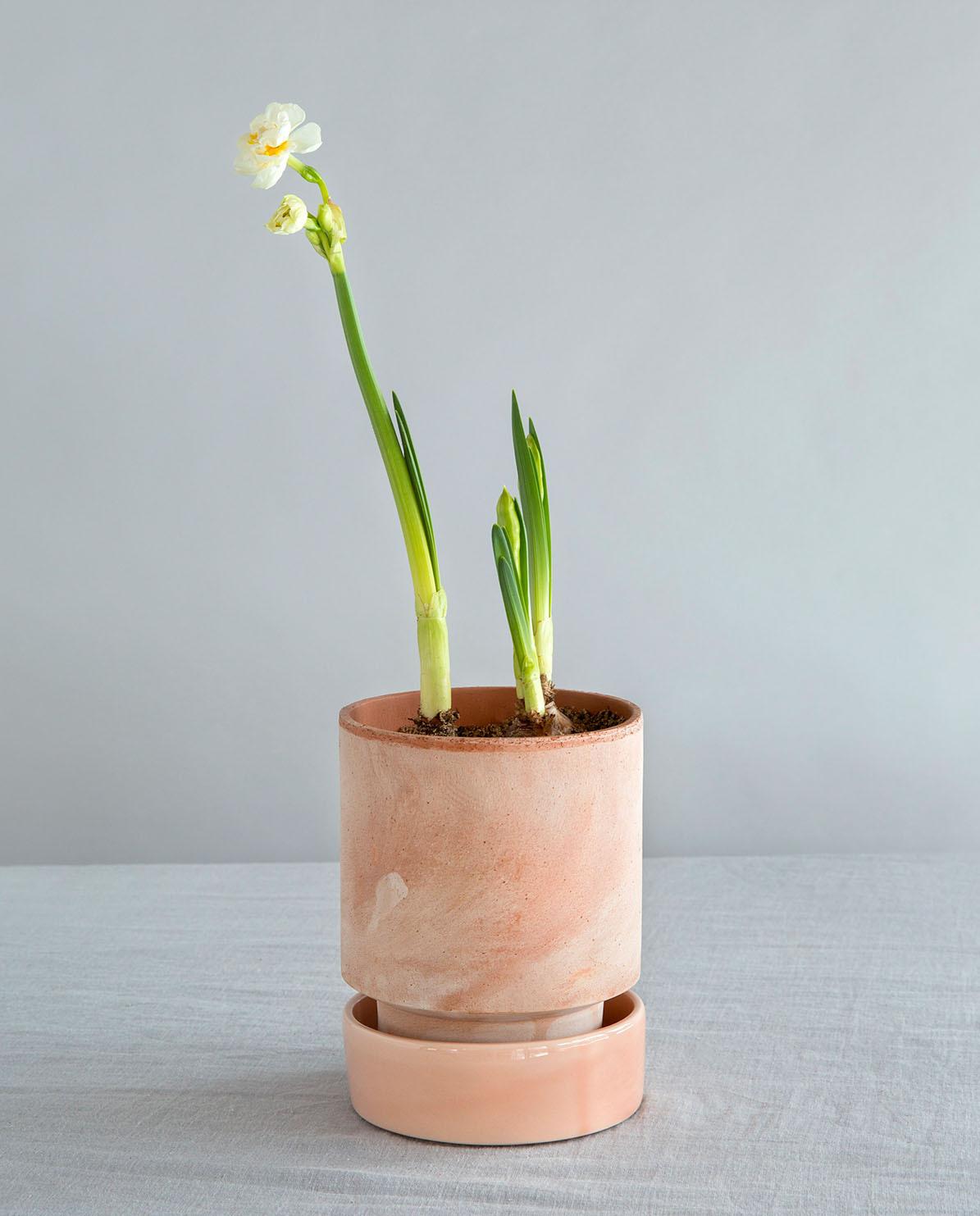Untersetzer für Blumentopf The Hoff Pot ⌀ 30 cm