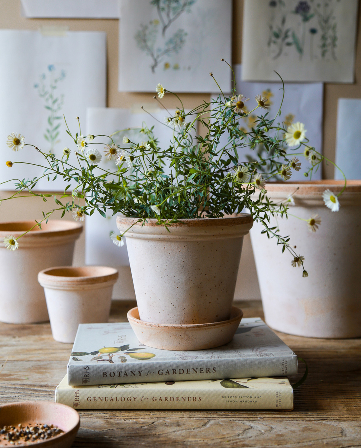 Bergs Potter Blumentopf The Flora Raw Pot inkl. Untersetzer Ø 12 cm