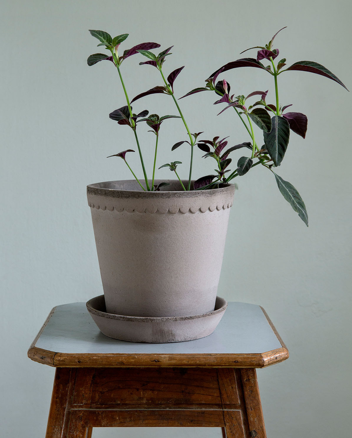Bergs Potter Blumentopf The Helena Raw Pot inkl. Untersetzer ⌀ 18 cm