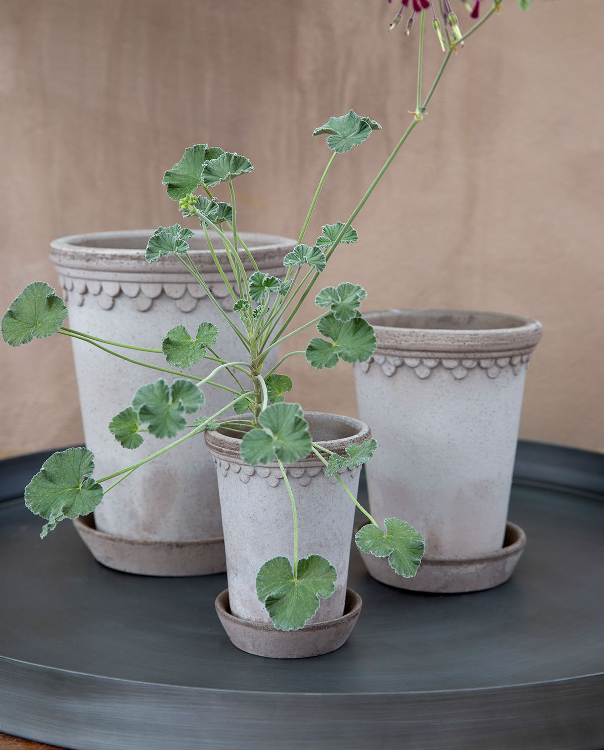 Bergs Potter Blumentopf The Københavner Raw Pot inkl. Untersetzer ⌀ 14 cm, 17,5 cm H