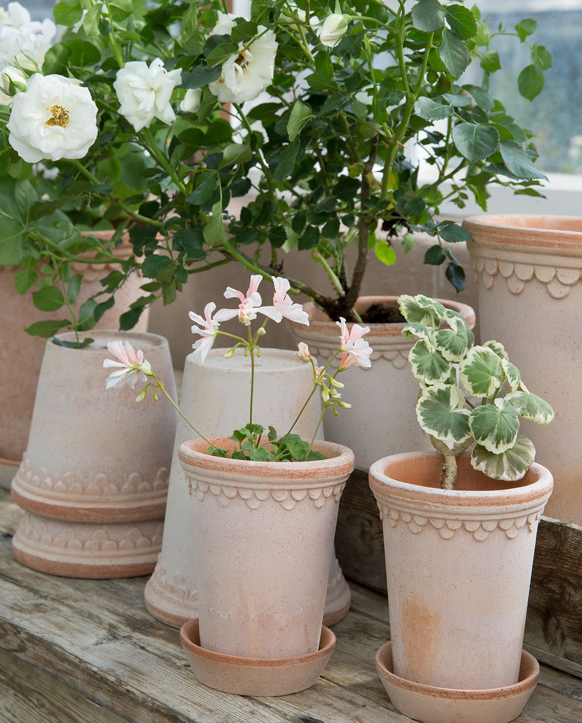 Bergs Potter Blumentopf The Københavner Raw Pot inkl. Untersetzer ⌀ 18 cm, 9,5 cm H