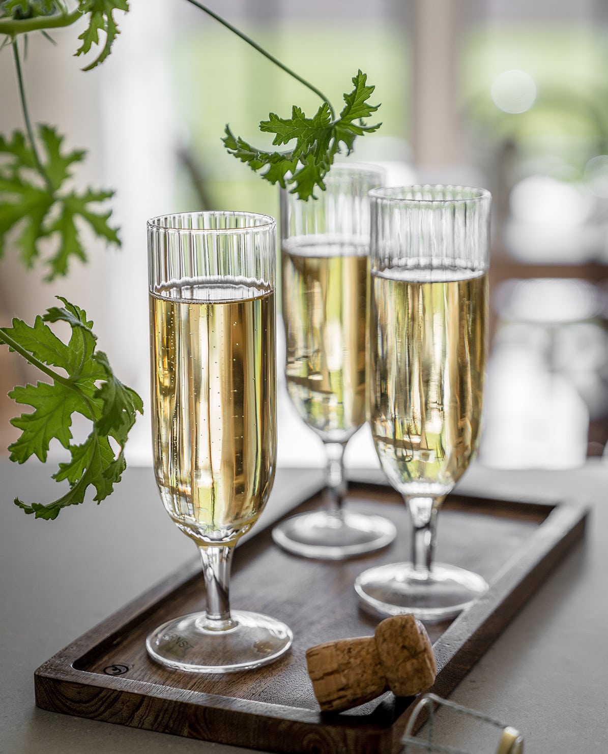 ERNST Proseccoglas Set Champaign One Size