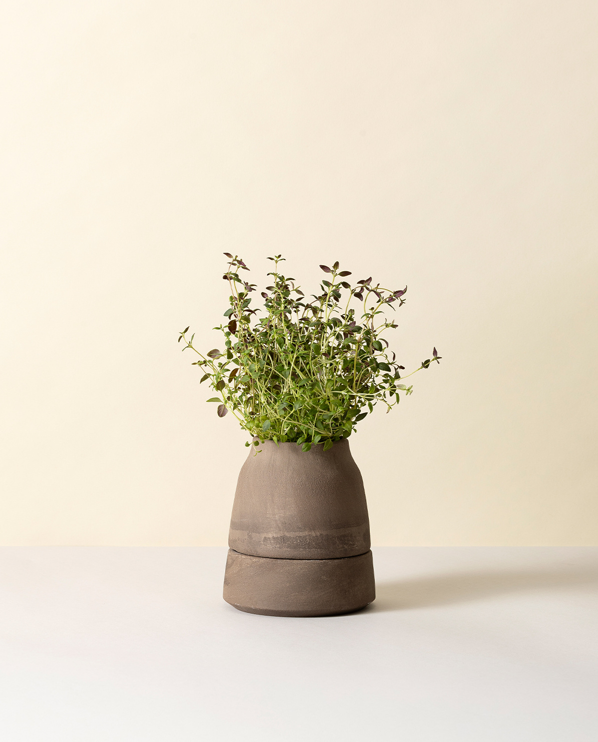 Bergs Potter Blumentopf Viva selbstbewässernd Raw Pot inkl. Untersetzer (grey) Ø 12 cm
