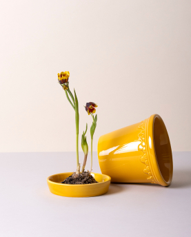 Bergs Potter Blumentopf The Københavner Glazed Pot inkl. Untersetzer