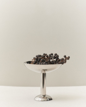 Louise Roe Champagnerschale Metal Coupe