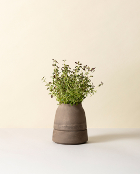 Bergs Potter Blumentopf Viva selbstbewässernd Raw Pot inkl. Untersetzer (grey)