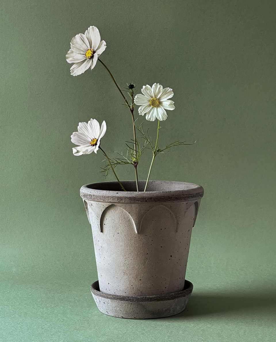 Bergs Potter Blumentopf The Elisabeth Raw Pot inkl. Untersetzer 2