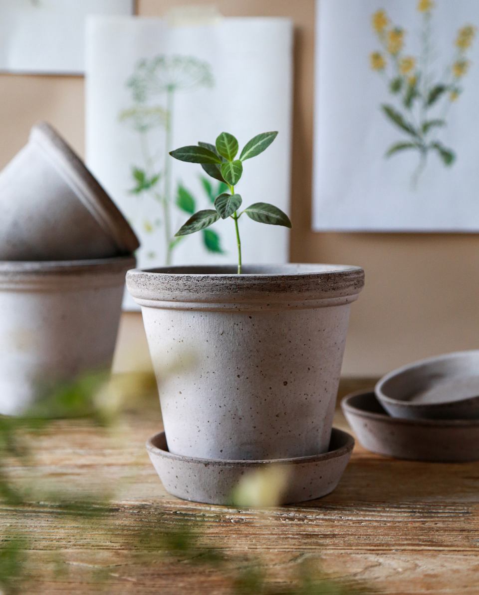 Bergs Potter Blumentopf The Flora Raw Pot inkl. Untersetzer 2