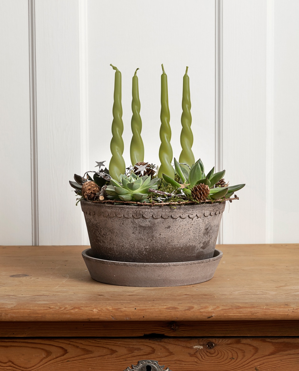 Bergs Potter Blumentopf The Helena Raw Pot inkl. Untersetzer low 2