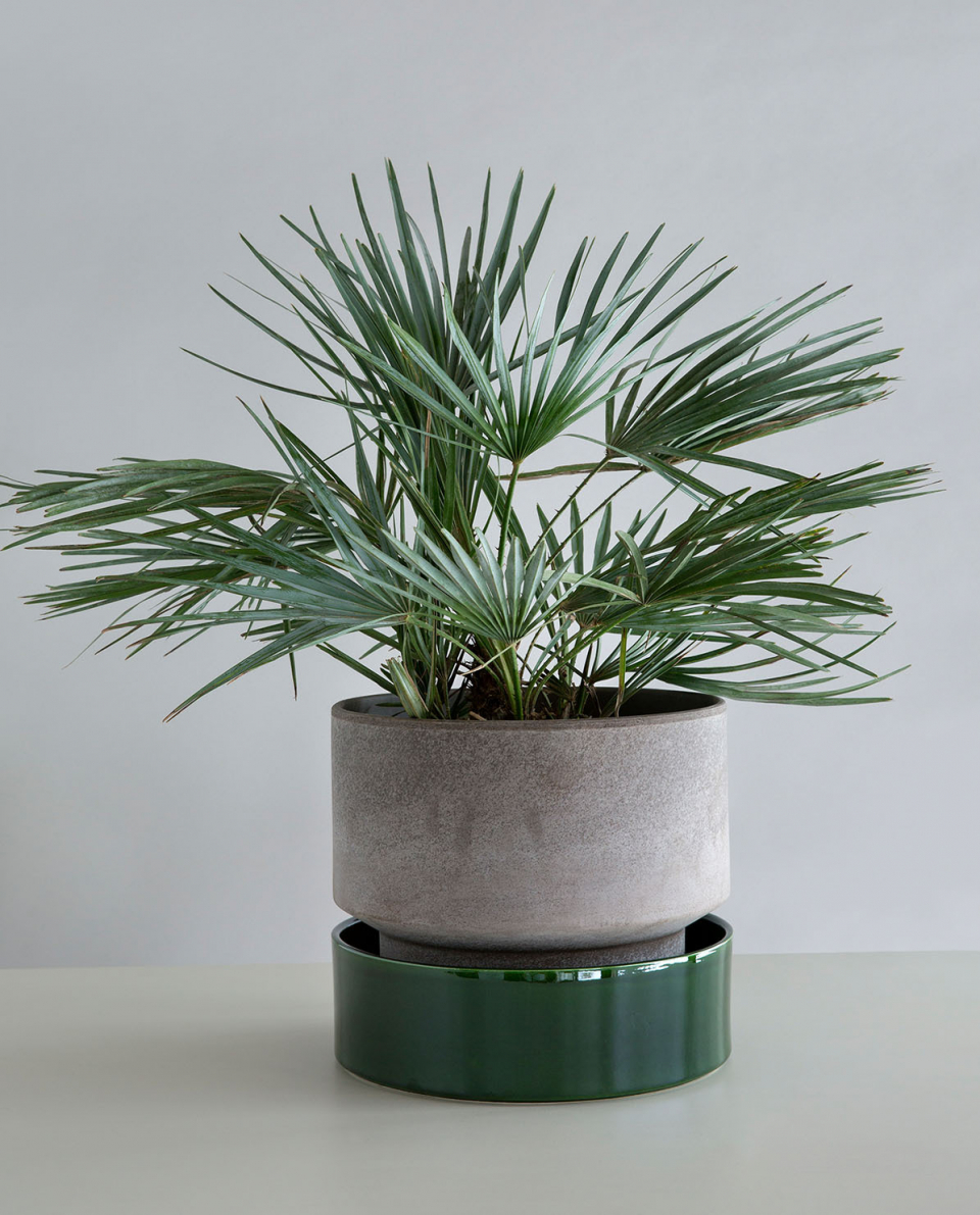 Bergs Potter Blumentopf The Hoff Pot Ø 30 cm 2