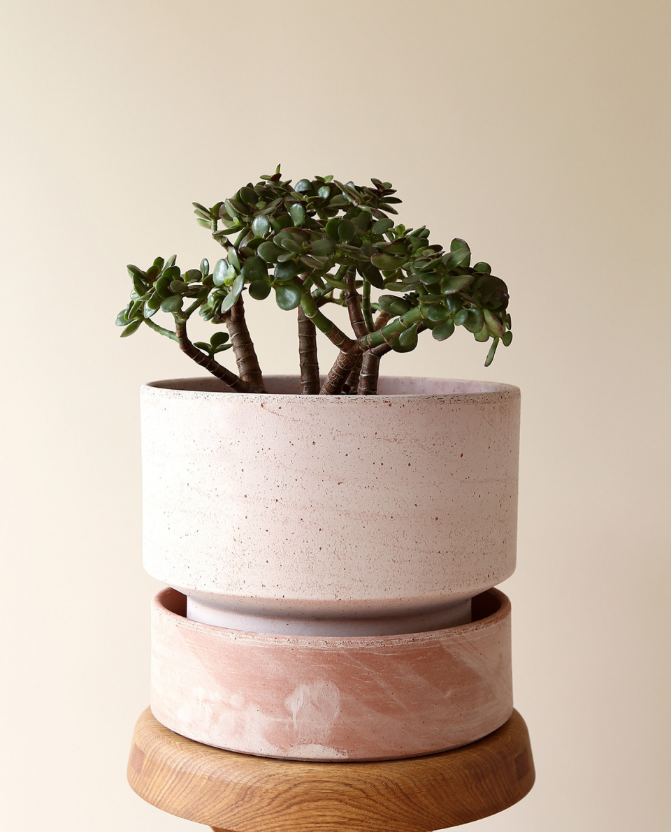 Bergs Potter Blumentopf The Hoff Pot Ø 30 cm 2