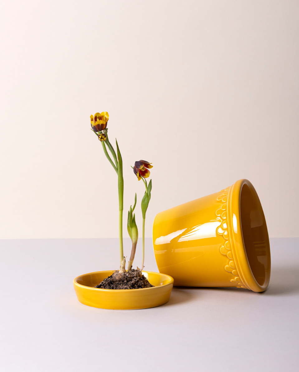 Bergs Potter Blumentopf The Københavner Glazed Pot inkl. Untersetzer 2