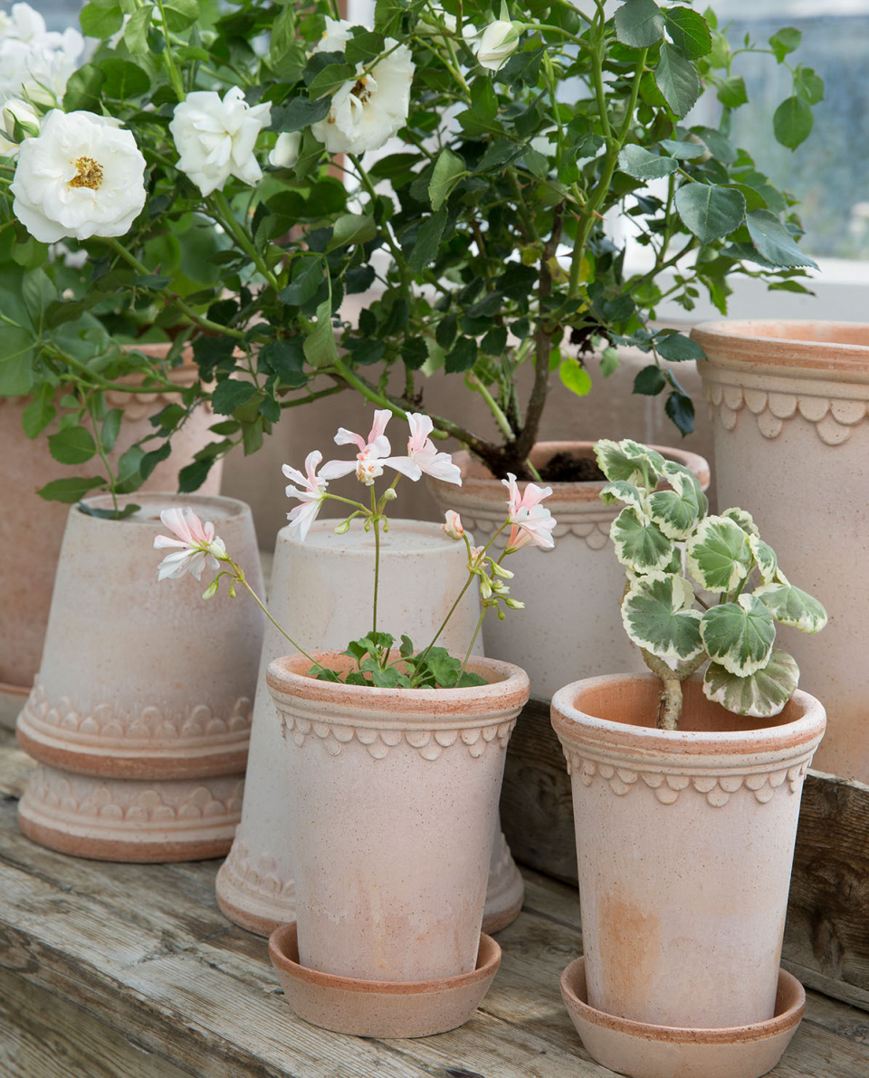 Bergs Potter Blumentopf The Københavner Raw Pot inkl. Untersetzer ⌀ 18 cm, 9,5 cm H 2