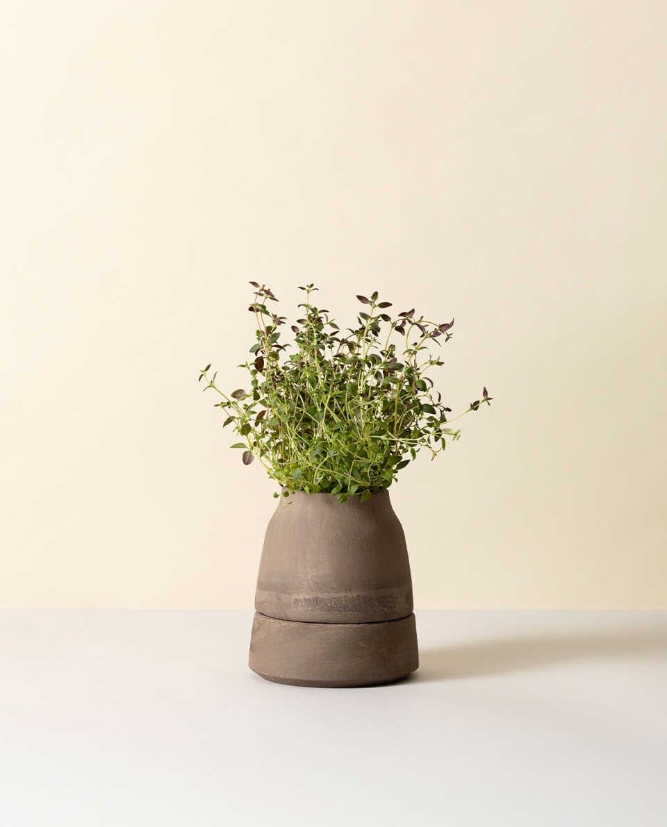 Bergs Potter Blumentopf Viva selbstbewässernd Raw Pot inkl. Untersetzer grey 2
