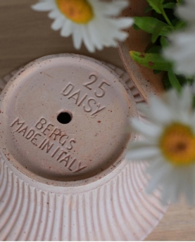 Bergs Potter Blumentopf Daisy Raw Pot inkl. Untersetzer