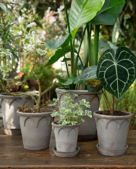 Bergs Potter Blumentopf The Elisabeth Raw Pot inkl. Untersetzer