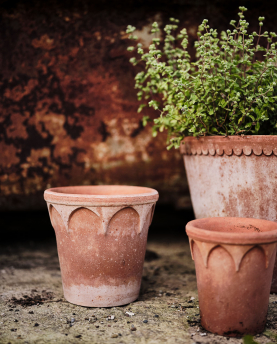 Bergs Potter Blumentopf The Helena Raw Pot inkl. Untersetzer