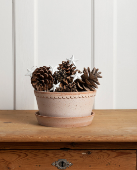 Bergs Potter Blumentopf The Helena Raw Pot inkl. Untersetzer low