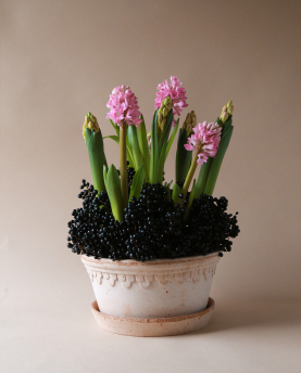 Bergs Potter Blumentopf The Københavner Raw Low Pot inkl. Untersetzer