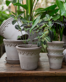Bergs Potter Blumentopf The Københavner Raw Pot inkl. Untersetzer
