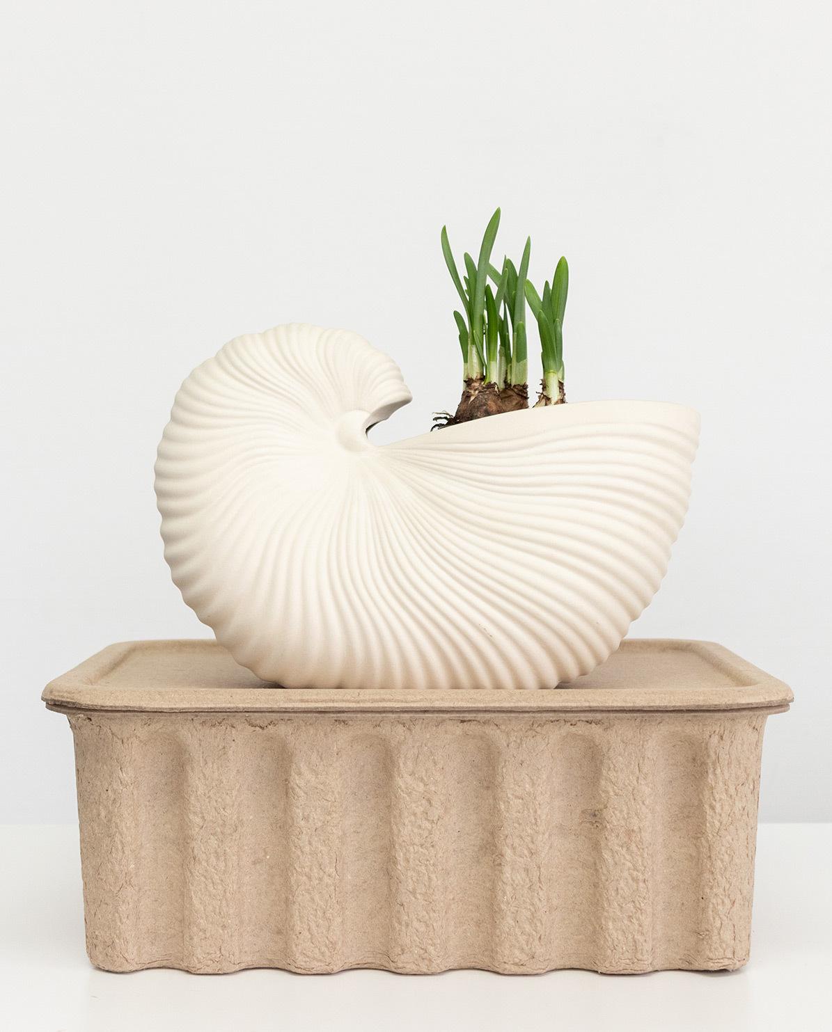 Deko Objekt Shell Pot One Size