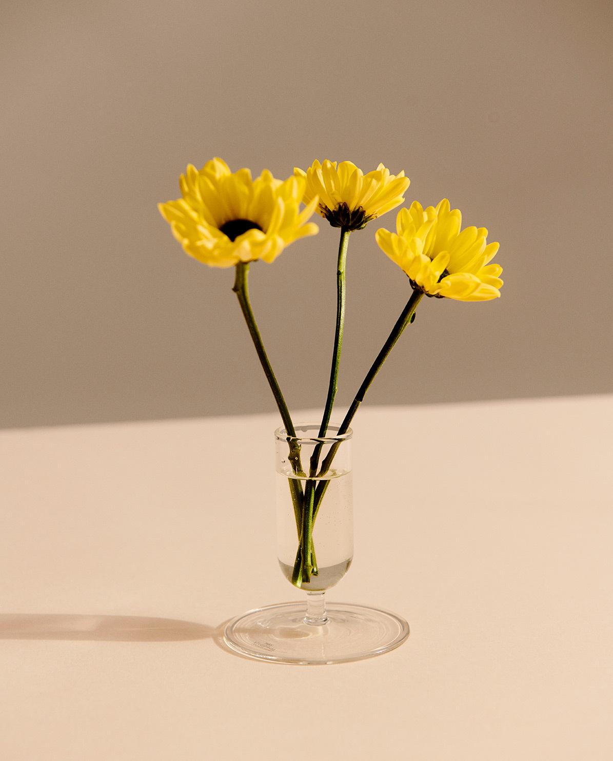 Vase Tiny One Size