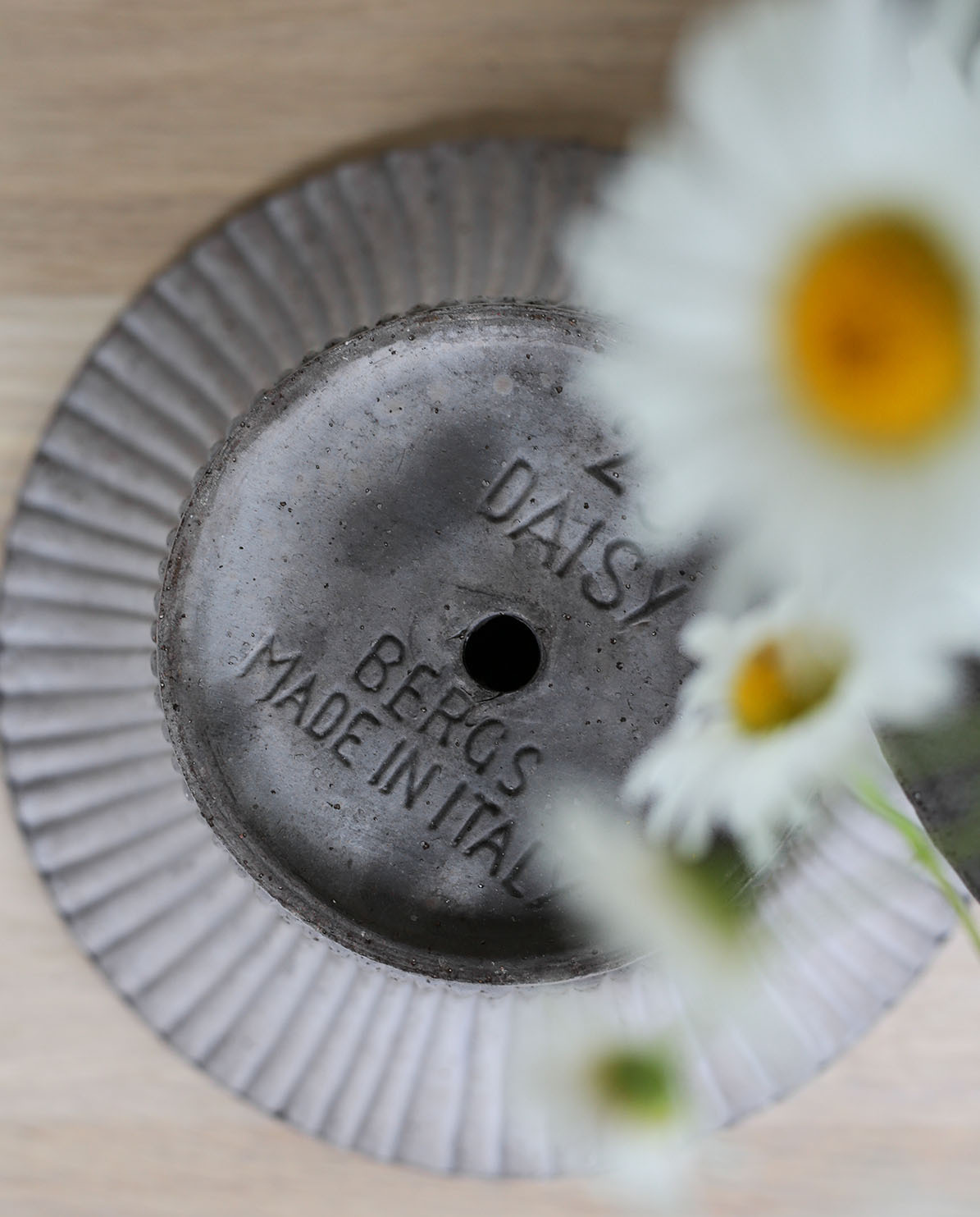 Bergs Potter Blumentopf Daisy Raw Pot inkl. Untersetzer Ø 25 cm
