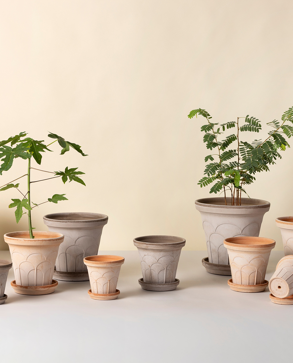 Bergs Potter Blumentopf The Fleur Raw Pot Ø 12 cm