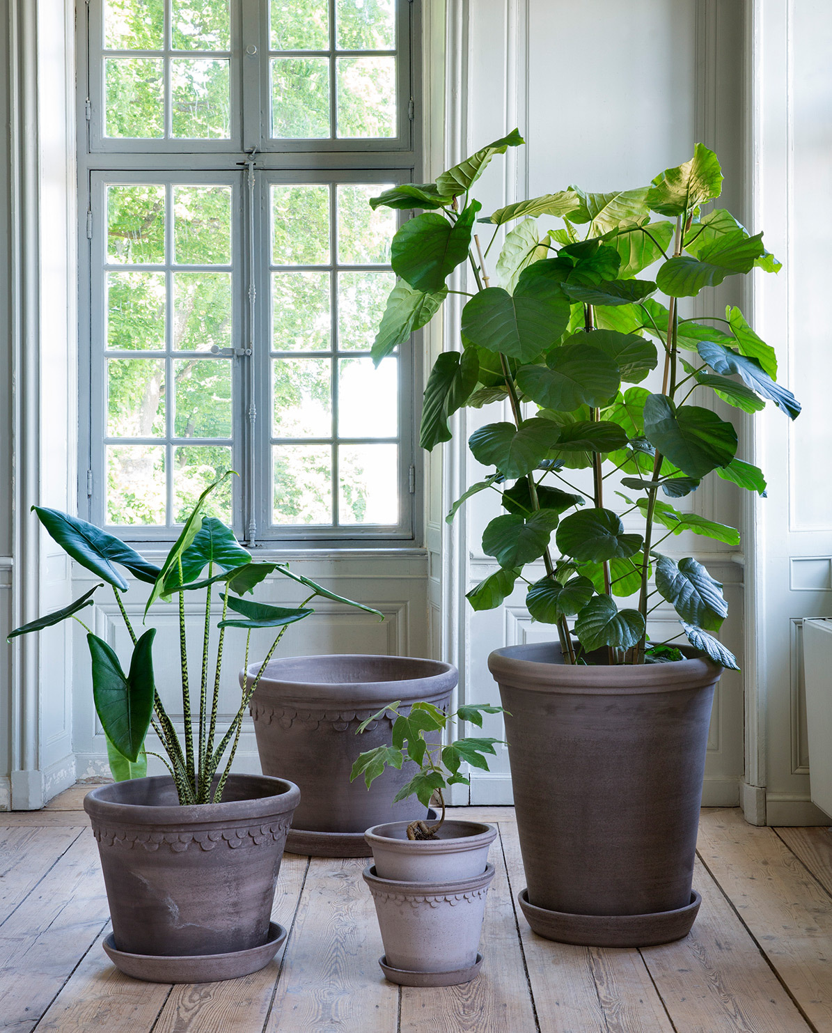 Bergs Potter Blumentopf The Flora Raw Pot inkl. Untersetzer Ø 10 cm
