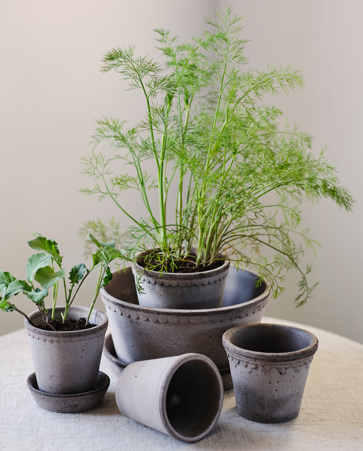 Bergs Potter Blumentopf The Helena Raw Pot inkl. Untersetzer low One Size