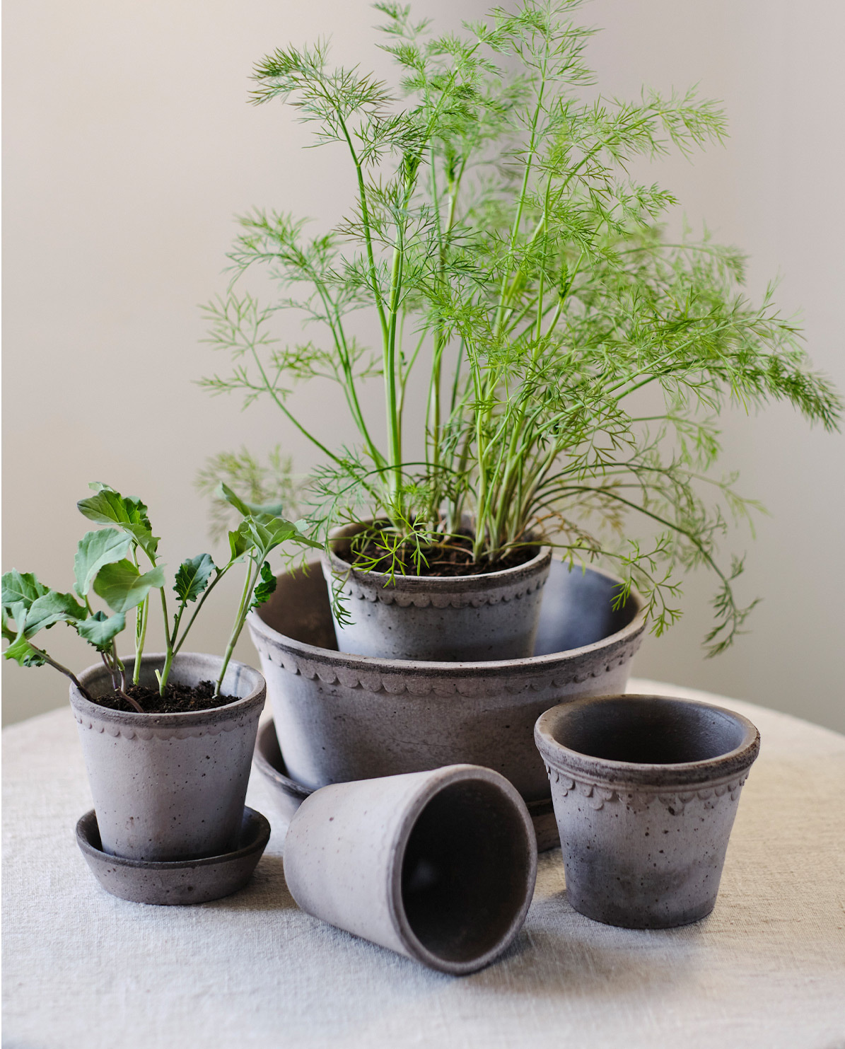 Bergs Potter Blumentopf The Københavner Raw Low Pot inkl. Untersetzer ⌀ 25 cm