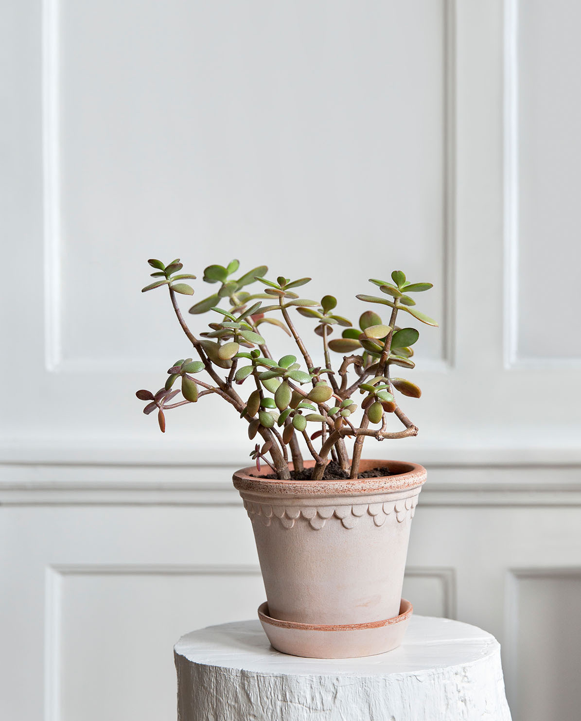 Bergs Potter Blumentopf The Københavner Raw Pot inkl. Untersetzer ⌀ 18 cm, 17,5 cm H