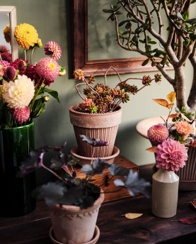 Bergs Potter Blumentopf Simona Raw Pot inkl. Untersetzer
