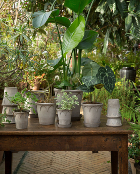 Bergs Potter Blumentopf The Elisabeth Raw Pot inkl. Untersetzer
