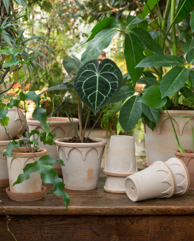 Bergs Potter Blumentopf The Elisabeth Raw Pot inkl. Untersetzer
