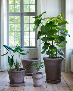 Bergs Potter Blumentopf The Flora Raw Pot inkl. Untersetzer