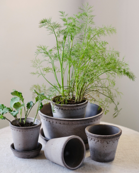 Bergs Potter Blumentopf The Helena Raw Pot inkl. Untersetzer