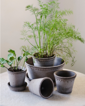 Bergs Potter Blumentopf The Københavner Raw Low Pot inkl. Untersetzer
