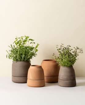 Bergs Potter Blumentopf Viva selbstbewässernd Raw Pot inkl. Untersetzer (grey)